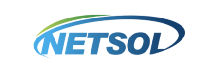 Netsol png logo Netsol png logo